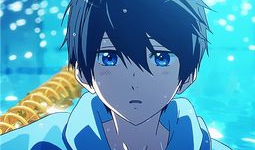 free动漫,探索无限创意的动画世界